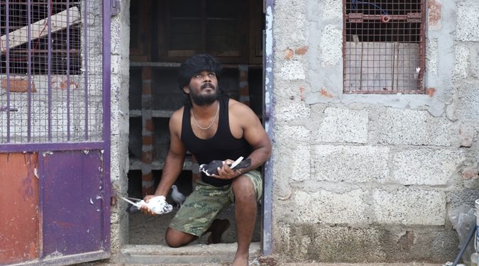 புறா பந்தயத்தை மையமாக வைத்து, நாகர்கோவில் நகரில் படமாகும் ”பைரி“