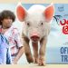 Panni Kutty – Official Trailer