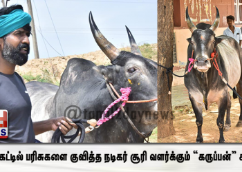 ஜல்லிகட்டில் பரிசுகளை குவித்த நடிகர் சூரி வளர்க்கும் “கருப்பன்” காளை