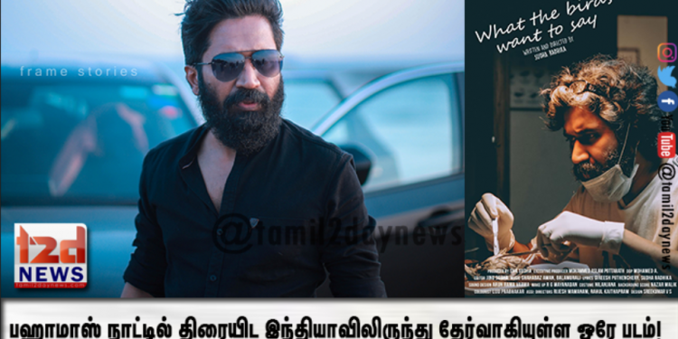 பஹாமாஸ் நாட்டில் திரையிட இந்தியாவிலிருந்து தேர்வாகியுள்ள ஒரே படம்!