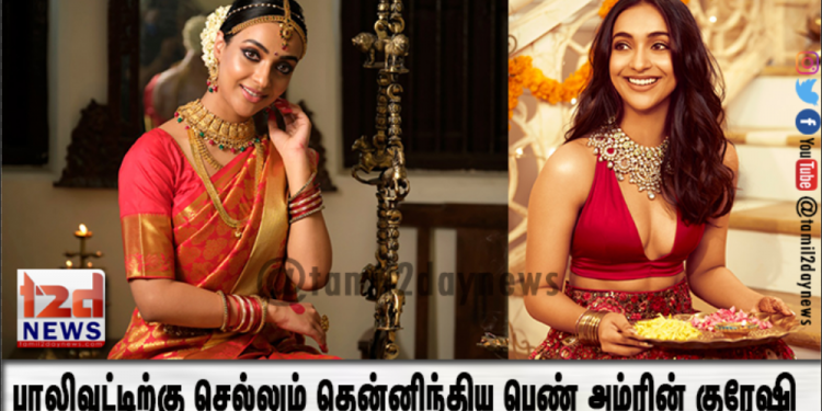 பாலிவுட்டிற்கு செல்லும் தென்னிந்திய பெண் அம்ரின் குரேஷி