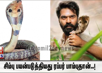 சிம்பு பயன்படுத்தியது ரப்பர் பாம்புதான்..!