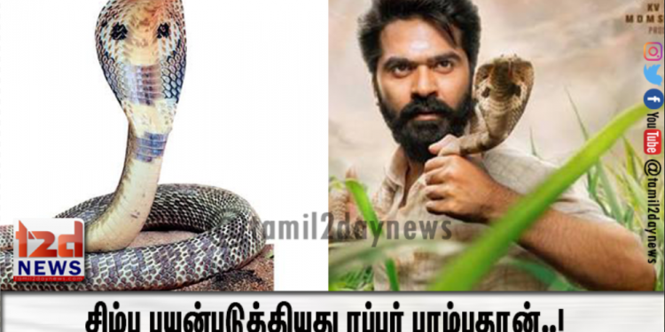 சிம்பு பயன்படுத்தியது ரப்பர் பாம்புதான்..!