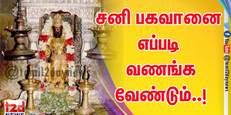 சனி பகவானை எப்படி வணங்க வேண்டும்..!