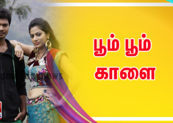 பூம் பூம் காளை
