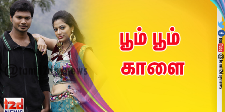 பூம் பூம் காளை