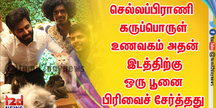 செல்லப்பிராணி கருப்பொருள் உணவகம் அதன் இடத்திற்கு ஒரு பூனை பிரிவைச் சேர்த்தது