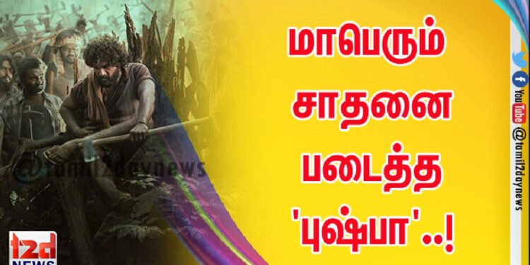 மாபெரும் சாதனை படைத்த ‘புஷ்பா’..!