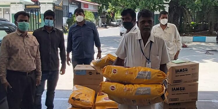 Sankalp Beautiful World and Save Shakti Foundation feeds street animals during covid lockdown
