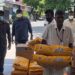 Sankalp Beautiful World and Save Shakti Foundation feeds street animals during covid lockdown