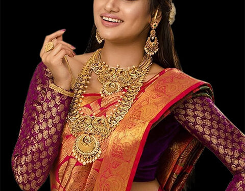 செப்.26ல் கோவாவில் நடுக்கடலில் மெஜஸ்டிக் பிரைட் குரூஸில் நடைபெறும் Mr. Miss & Mrs. Fashion World 2021