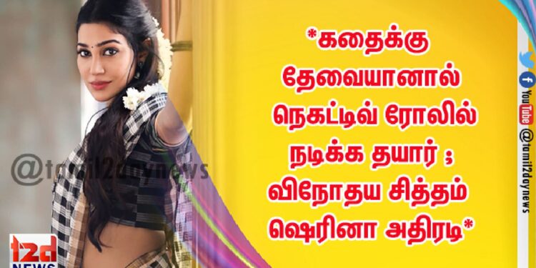 *கதைக்கு தேவையானால் நெகட்டிவ் ரோலில் நடிக்க தயார் ; விநோதய சித்தம்  ஷெரினா அதிரடி*