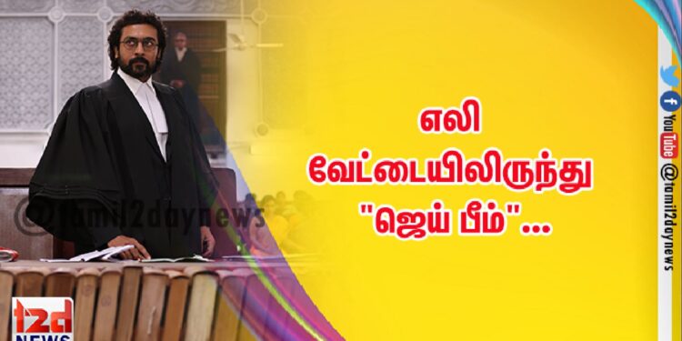 எலி வேட்டையிலிருந்து  “ஜெய் பீம்”…