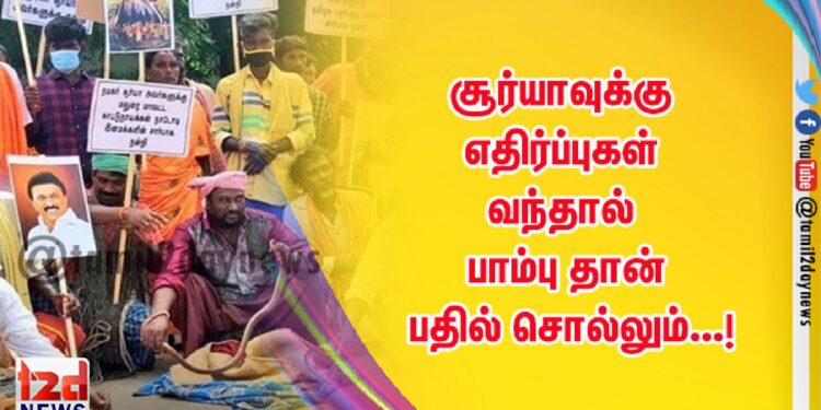 சூர்யாவுக்கு எதிர்ப்புகள் வந்தால் பாம்பு தான் பதில் சொல்லும்…!