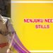 Nenjuku Needhi Stills