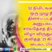 டைரி – விமர்சனம்